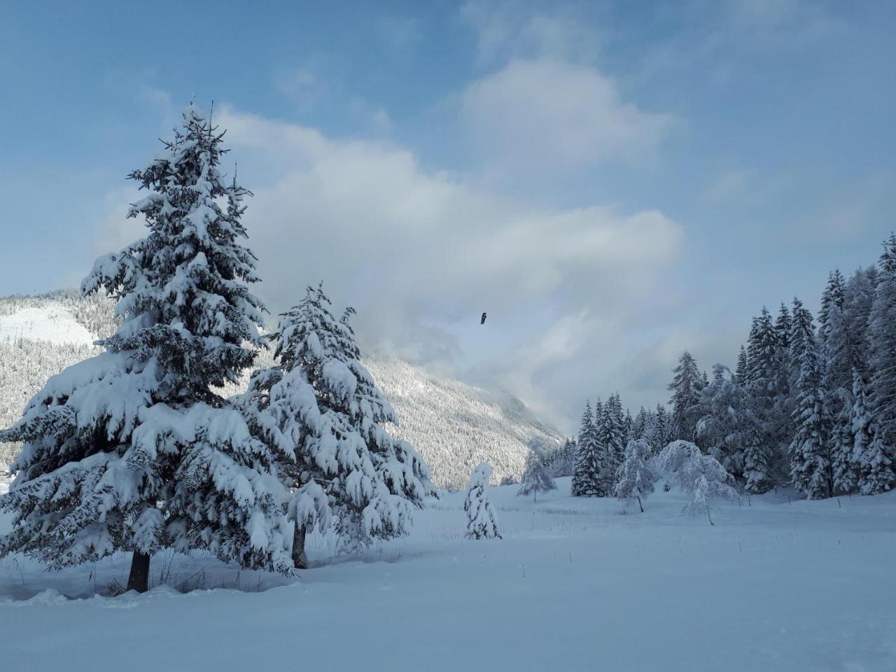 Ferienwohnungen Mitterer Weissensee Exterior foto